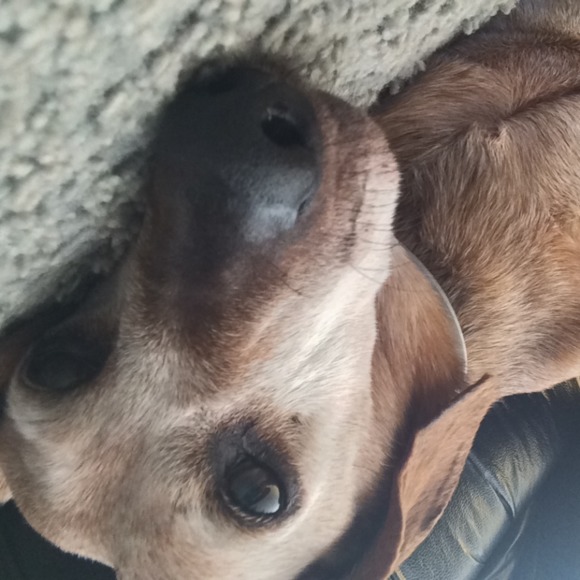 Meet the Posher Other - Meet your Posher, Tina